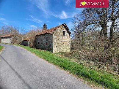 Vente Maison 2 pièces SAINT-AVIT 63380