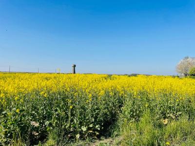 photo For sale Land EPERNON 28