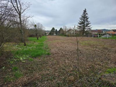 photo For sale Land CUSSET 03