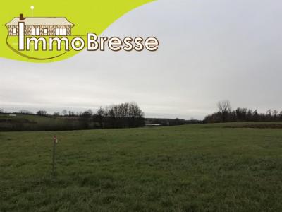 Vente Terrain SAINT-TRIVIER-DE-COURTES 01560