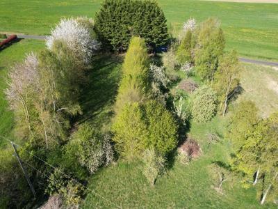 Vente Terrain MORTREE 61570