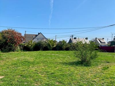 photo For sale House SARZEAU 56