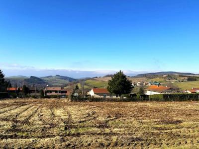 Vente Terrain TARARE 69170