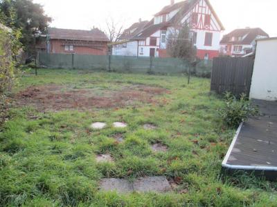 Vente Maison WITTELSHEIM 