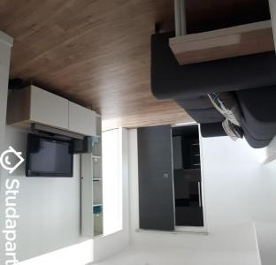 photo For rent Apartment TOULOUSE 31