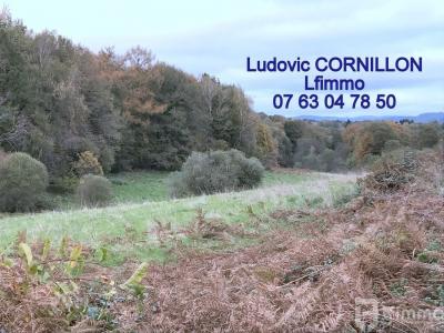 photo For sale Land SOUDAINE-LAVINADIERE 19