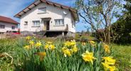 House LUXEUIL-LES-BAINS 