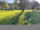 Annonce Vente Terrain
