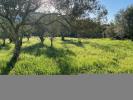Acheter Terrain 990 m2