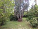 Annonce Vente 7 pices Maison Teyran