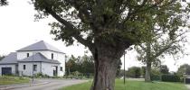 Annonce Vente Programme neuf Soulge-sur-ouette