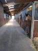 Acheter Prestige Mazieres-naresse 780000 euros
