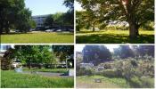 Apartment TALENCE 