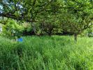 Land MOTTE-D'AVEILLANS 