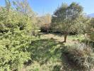 Acheter Maison 265000 euros