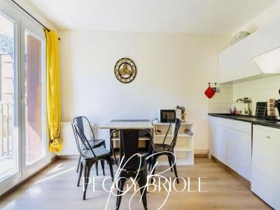 Vente Appartement ANGLES 66210