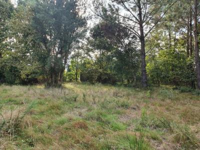 photo For sale Land LUGOS 33