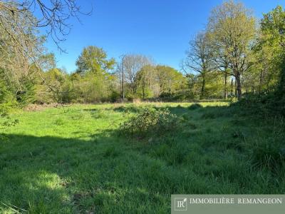 photo For sale Land VIERZON 18