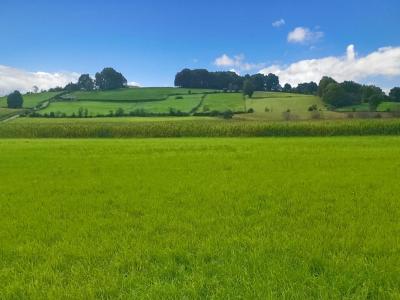 photo For sale Land BIDACHE 64
