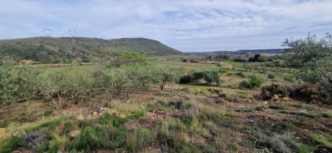 photo For sale Land FONTES 34