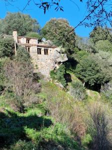 photo For sale House OLMETO 20