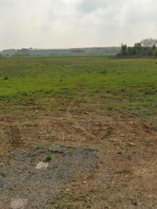 Vente Terrain FERRIERES 17170