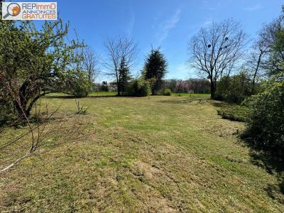 Vente Terrain SAUVERNY 01220