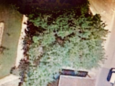 photo For sale Land MARBOZ 01