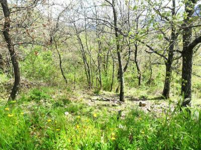 photo For sale Land CORTE 20