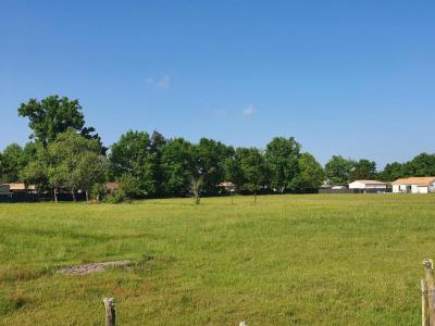 Vente Maison 4 pièces SAINT-MAGNE 33125