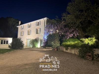 Vente Maison 10 pièces CHANAS 38150