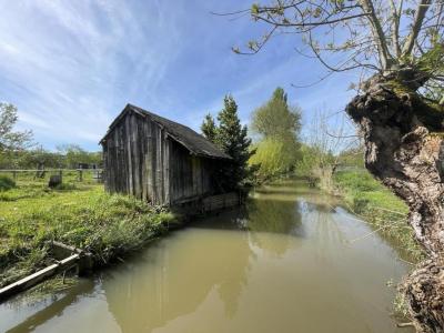 Vente Terrain MEHUN-SUR-YEVRE 18500