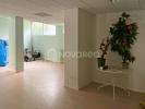 Commercial office PAU 
