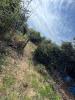 Annonce Vente Terrain