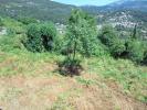 House VICO 
