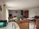 House NIORT 