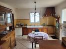 House NIORT 