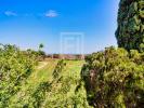 Acheter Prestige Argeles-sur-mer Pyrenees orientales