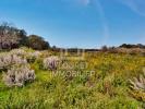 Acheter Prestige Argeles-sur-mer 764000 euros