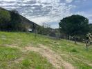 Acheter Terrain Ceret Pyrenees orientales