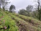Acheter Terrain 1033 m2 Nice