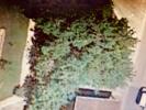 For sale Land Marboz  01851 486 m2