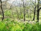 For sale Land Corte 20250 500 m2