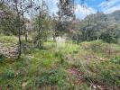 Land SAINT-MAXIMIN 