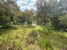 Land SAINT-MAXIMIN 