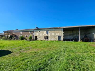 Vente Maison 6 pièces MONTREUIL-BELLAY 49260