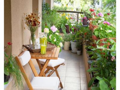 photo For sale Apartment TOULOUSE 31