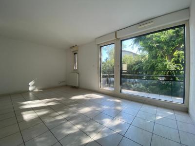 photo For rent Apartment AVIGNON 84