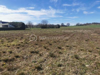 Vente Terrain LESPOUEY 65190