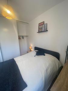 Location Appartement LILLE 59000